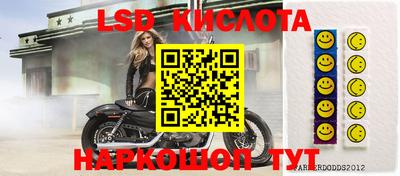 твердый Заводоуковск