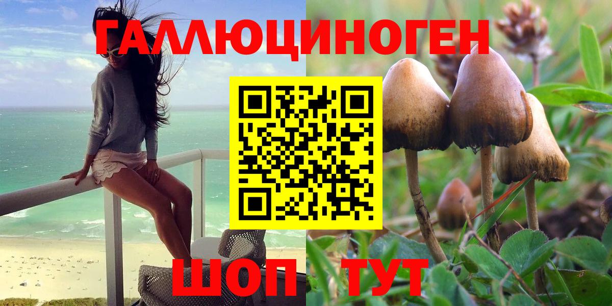 Галлюциногенные грибы Psilocybe  Вход с VPN  Псилоцибиновые грибы ЛСД  Дальнереченск 
