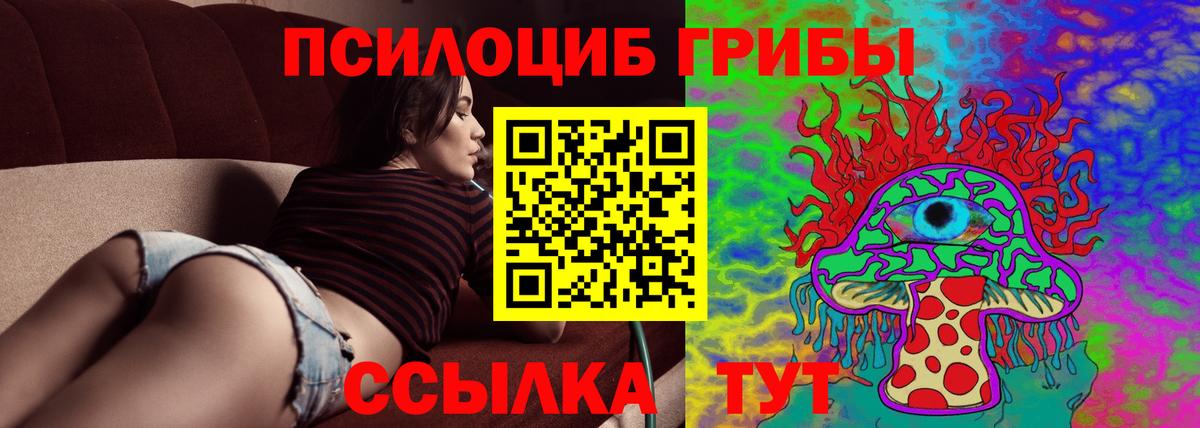 Псилоцибиновые грибы Psilocybe Дальнереченск