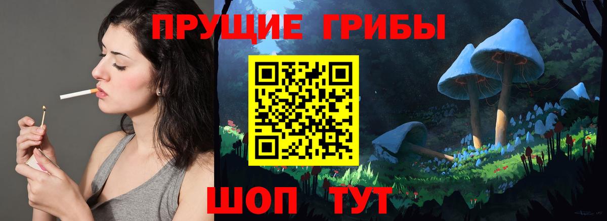 Псилоцибиновые грибы Cubensis Дальнереченск
